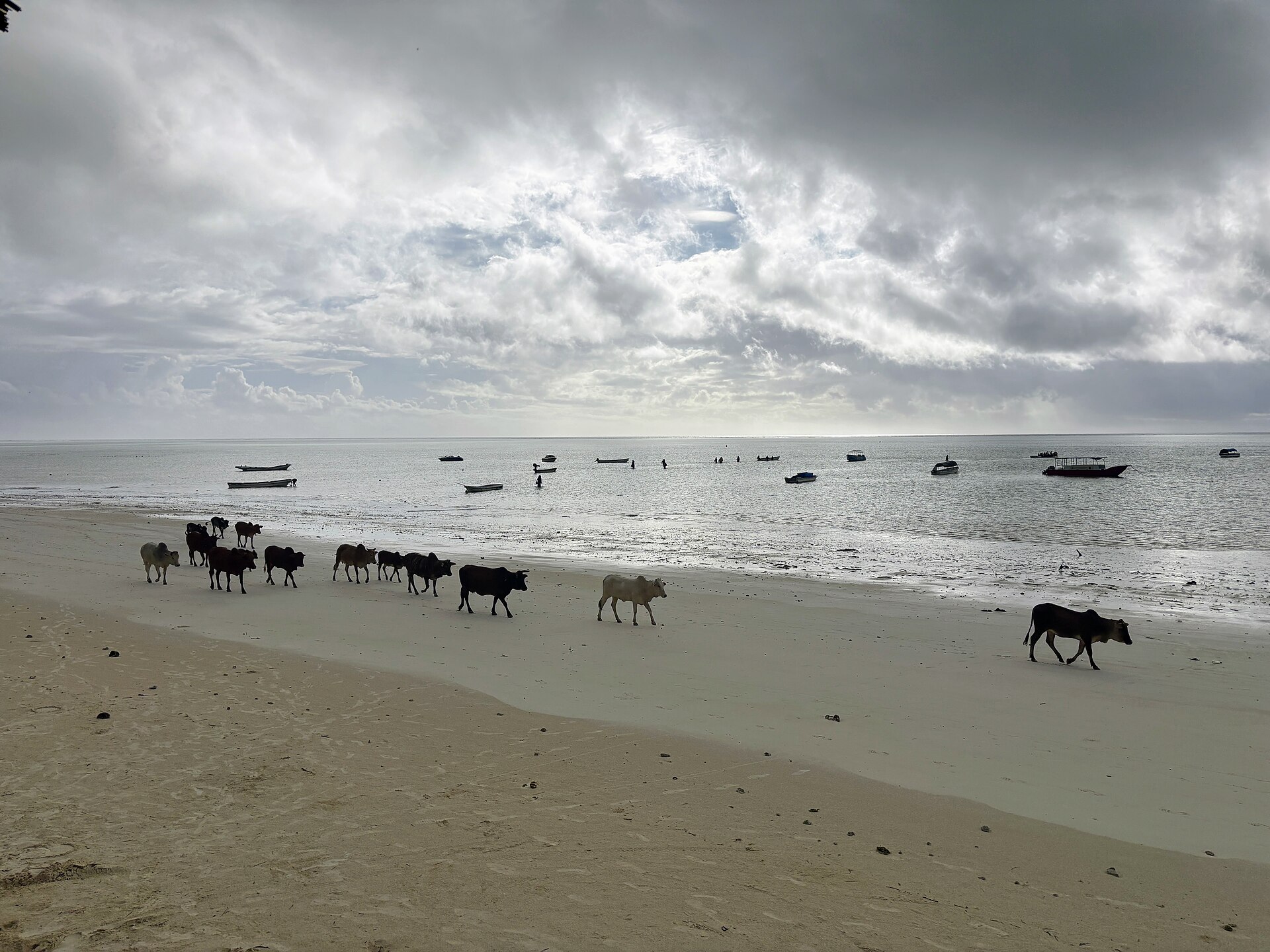 Zanzibar & the Spice Islands