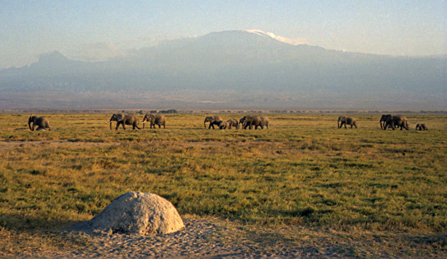 Tarangire & Manyara Short Safari