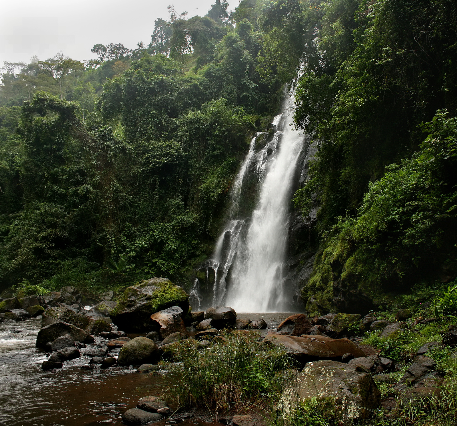 Materuni Waterfalls & Coffee Tour